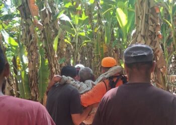 Idosos de 90 anos fica perdido em mata fechada; sendo resgatado por bombeiros