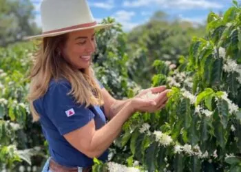 “Sá Biquinha”: café cheio de histórias e memórias 