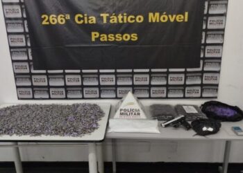 Operação da Polícia Militar apreende mais de 5 mil pinos de cocaína