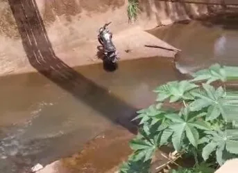 Motociclista cai em córrego ao tentar atravessar pinguela entre os bairros Polivalente e Coimbras em Passos