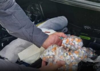 Medicamentos emagrecedores FALSOS são apreendidos pela Polícia Rodoviária