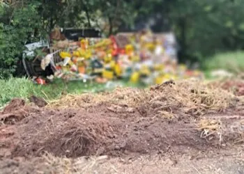 Caminhão carregado com verduras tomba entre Areado e Alterosa