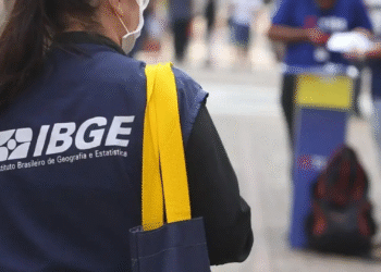 IBGE lança novo portal com cursos gratuitos para a população