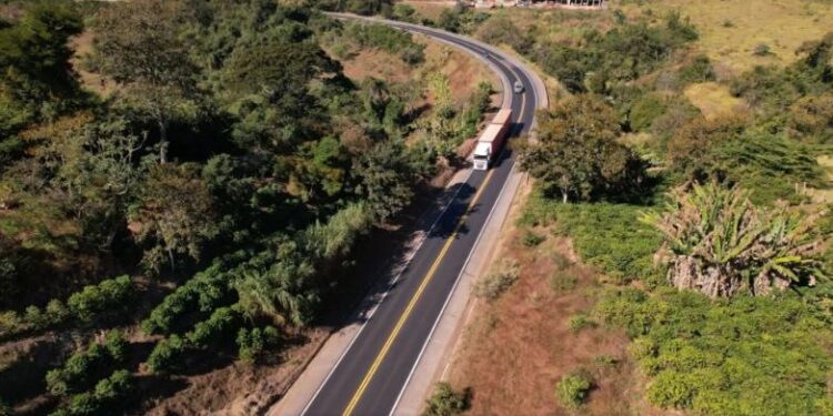 Serviços na MGC-491 podem provocar interdições temporárias no tráfego