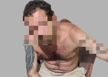 Homem é preso após matar cachorro e afirmar: “Era meu, fazia o que quisesse”