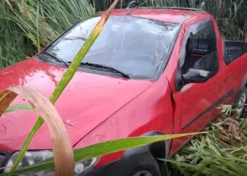 Bezerro na pista causa acidente grave na MGC-491 em Alfenas