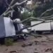 Chuva forte derruba árvore e atinge caminhão em cidade de Minas