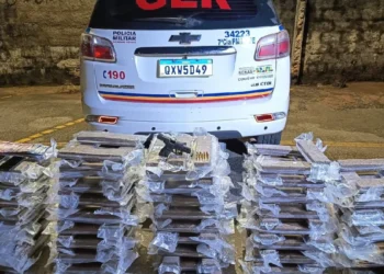 Confronto com o GER em Alfenas deixa suspeito morto e 170 kg de maconha apreendidos