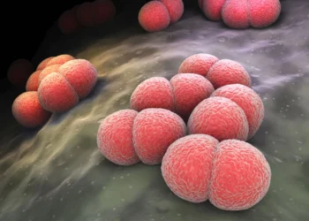 Mulher morre após caso de meningite meningocócica em Varginha