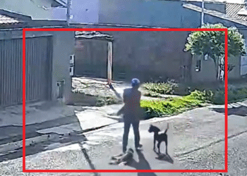 Cenas chocantes: cão perde os sentidos após ser ARRASTADO POR ARAME em Minas