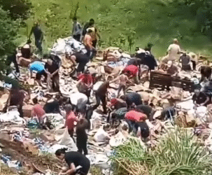 VÍDEO: Pessoas recolhem diversos produtos na MGC-491 após caminhão tombar no local