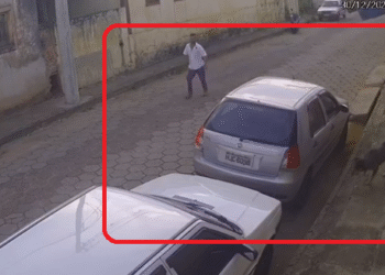 Vídeo de reação inusitada de homem a cachorro chama atenção em Carmo do Rio Claro, assista!
