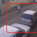 Vídeo de reação inusitada de homem a cachorro chama atenção em Carmo do Rio Claro, assista!