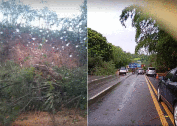 FONTE: REPRODUÇÃO/ VARGINHA 24H