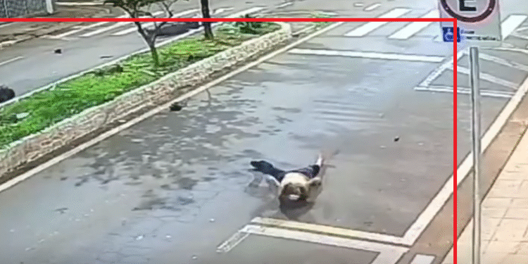 Vídeo: Motorista provoca acidente, fere duas pessoas e foge sem prestar socorro