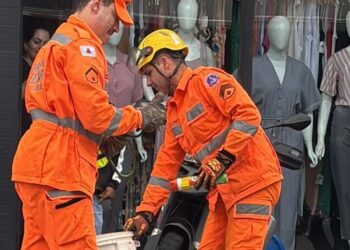 Cobra é encontrada em motor de motocicleta em MG