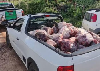 Polícia encontra ABATE ILEGAL DE CAVALOS e apreende carne no Sul de Minas