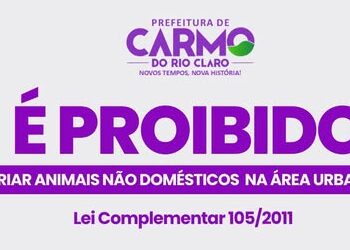 Código de Posturas proíbe criação na área urbana em Carmo