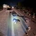 Motociclista de 28 anos morre após possível atropelamento na MGC-491