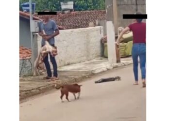 VÍDEO: Agressão contra pitbull revolta moradores de Conceição da Aparecida