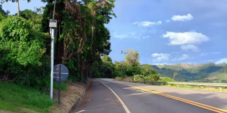 FOTO: Reprodução/ EPR Sul de Minas