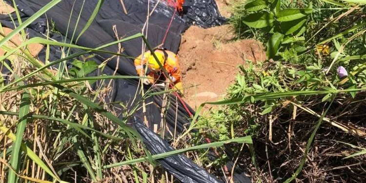 BOMBEIROS DE MACHADO REALIZAM COBERTURA EMERGENCIAL.
