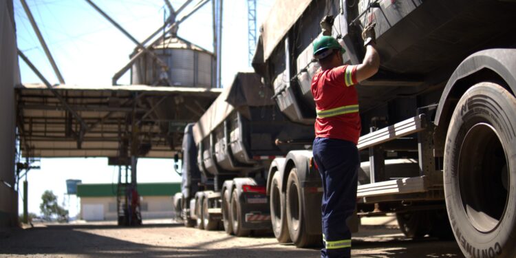 Armazém inadequado pode comprometer toda a safra do produtor rural