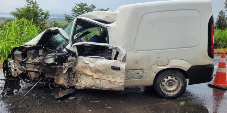 Moradores de Carmo sofrem acidente ocasionado por árvore na pista; um deles se feriu gravemente
