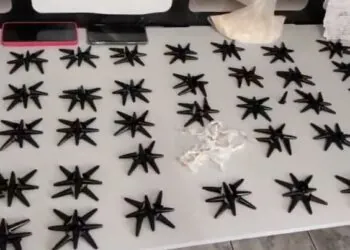 VÍDEO| Polícia Militar apreende drogas em São José da Barra