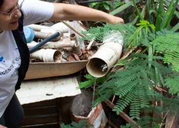 Governo de Minas Gerais reforça combate ao Aedes aegypti no período chuvoso e mobiliza todo o estado