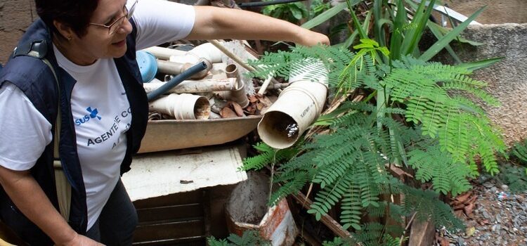 Governo de Minas Gerais reforça combate ao Aedes aegypti no período chuvoso e mobiliza todo o estado