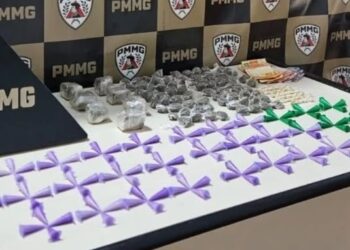 Operação da PM prende homem e apreende grande quantidade de drogas em Campos Gerais