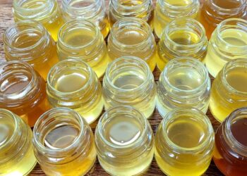 Gin Mineiro artesanal troca açúcar por mel de abelhas nativas