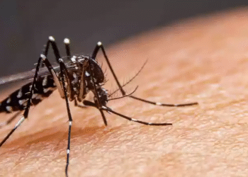 Mutirão de Limpeza começa neste sábado em Carmo do Rio Claro para combater a dengue