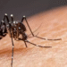 Mutirão de Limpeza começa neste sábado em Carmo do Rio Claro para combater a dengue