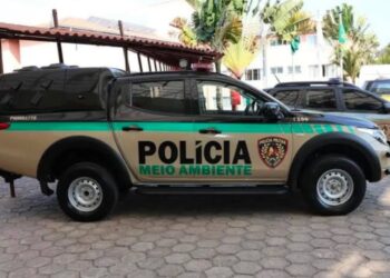 Foragido por homicídio é preso em Divisa Nova durante ação da PM de Meio Ambiente