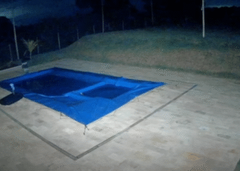 VÍDEO: Câmeras flagram invasão em propriedade na zona rural