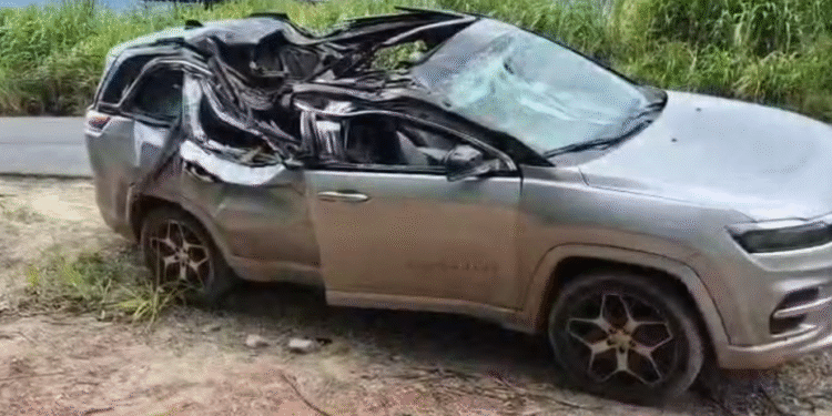 Acidente na MG-444 mata bebê após queda de árvore