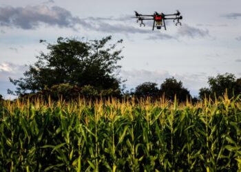 Senar Play bate recorde de matrículas e acessos em Minas Gerais 