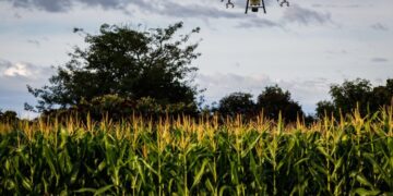 Senar Play bate recorde de matrículas e acessos em Minas Gerais 