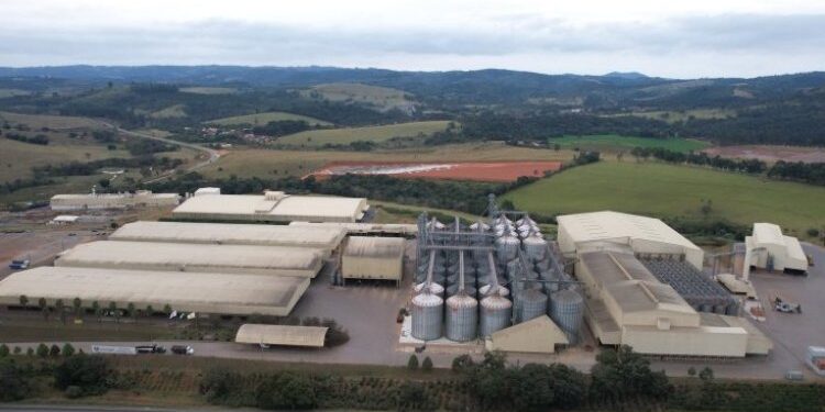 Cooperativa mineira entre as 300 do mundo