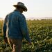 União, diálogo e firmeza ditam posição do agro neste ano eleitoral