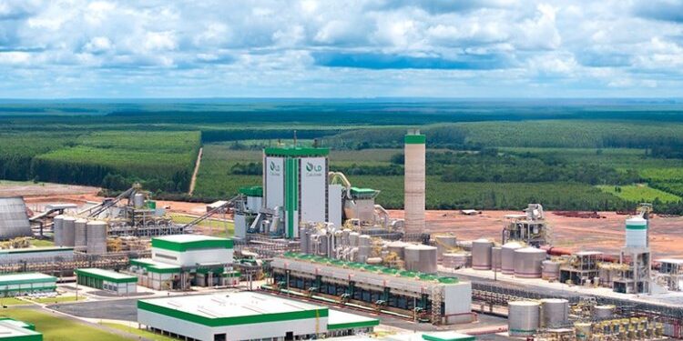 Fábrica impulsiona produção de celulose 