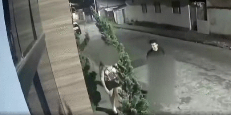 Importunação sexual após Carnaval é registrada por câmera