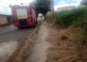 Pedradas em ninho provocam ataque de marimbondos e deixam mãe e filha feridas