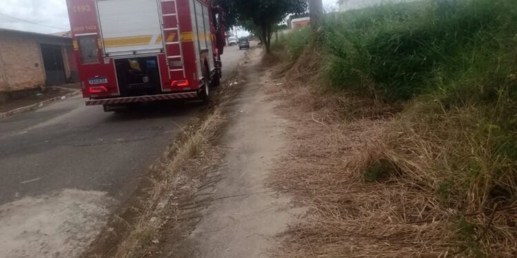 Pedradas em ninho provocam ataque de marimbondos e deixam mãe e filha feridas