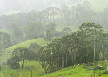 Sul de Minas terá mês de março quente e chuvoso