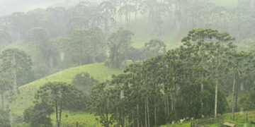 Sul de Minas terá mês de março quente e chuvoso