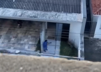 VÍDEO CENAS FORTES: Homem é preso após matar cachorro a tiros no interior de Minas; armamento apreendido assusta