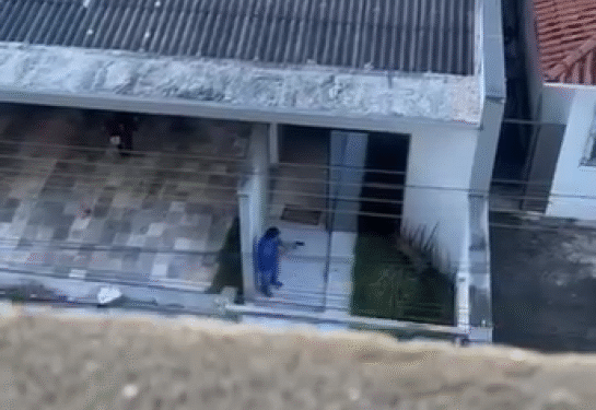 VÍDEO CENAS FORTES: Homem é preso após matar cachorro a tiros no interior de Minas; armamento apreendido assusta